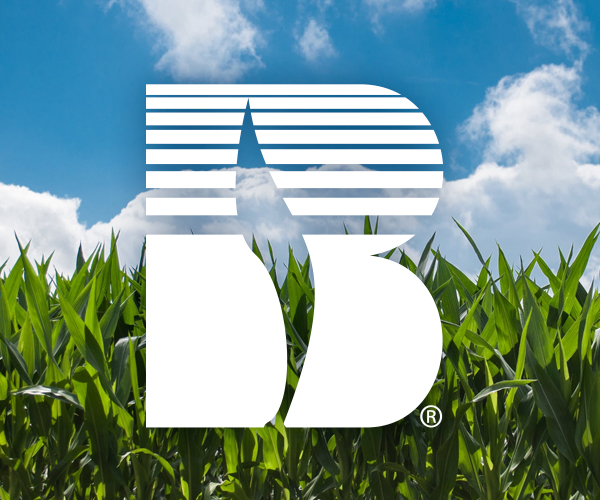 Image of a corn field with Beck's logo centered.