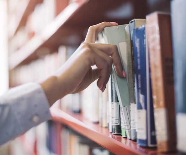 Image of Olivia, MN's public library.